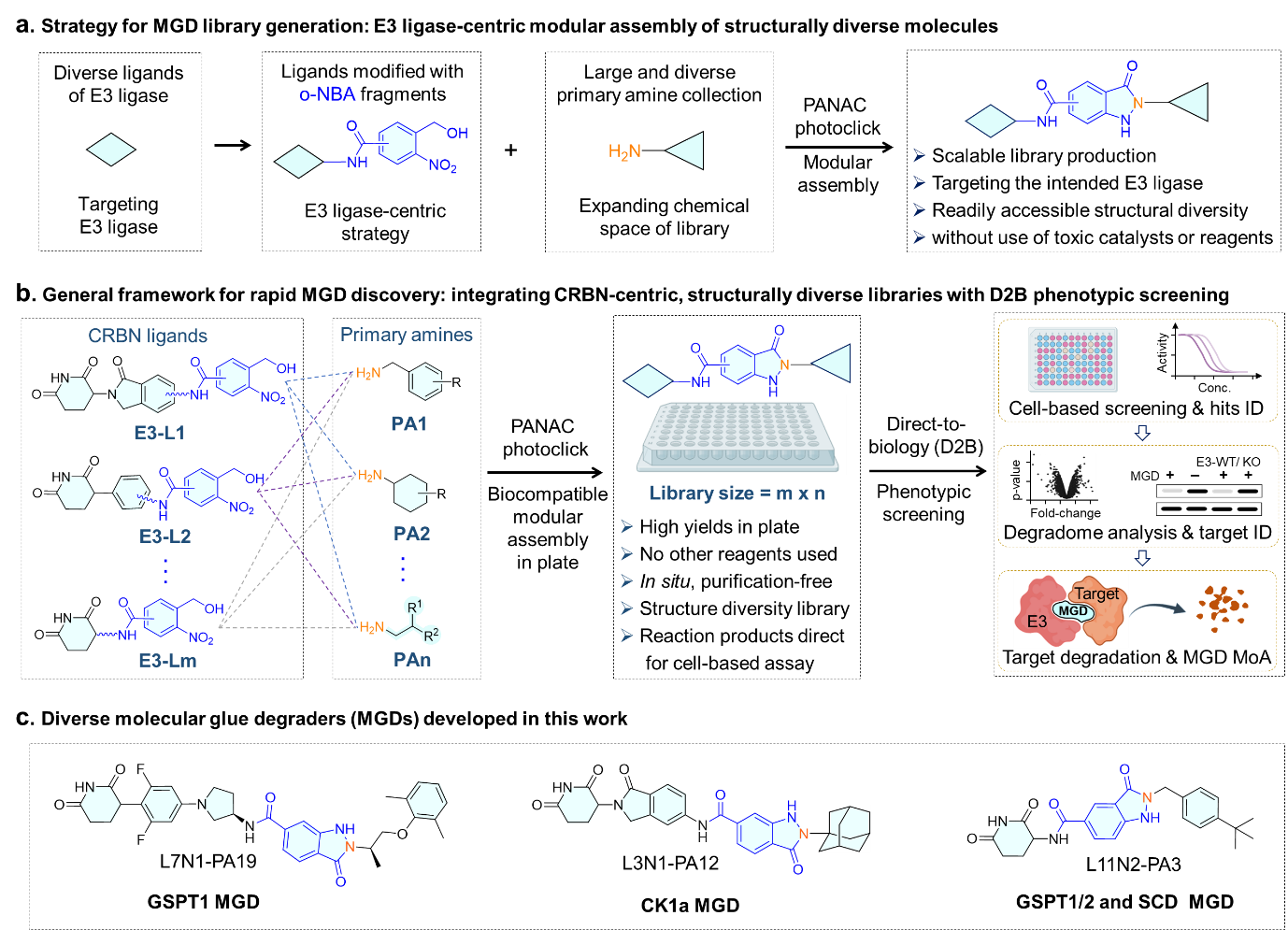 W020260521347926445971.png