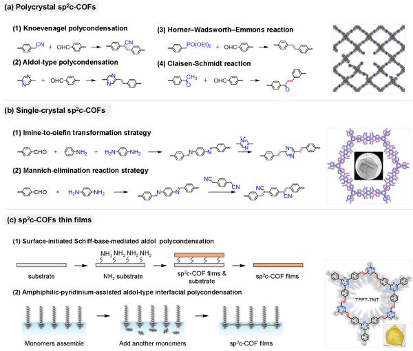 W020260713535279459115.png